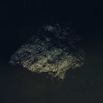Album Multicast Dynamics: Lost World