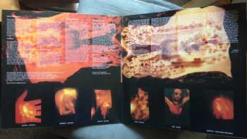 2LP My Dying Bride: Turn Loose The Swans