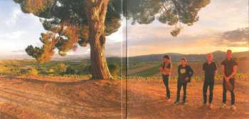 CD Nada Surf: Never Not Together