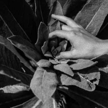 CD Nanook Of The North: Heide 