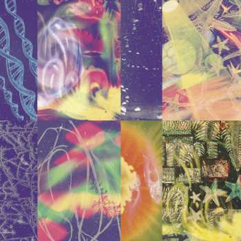 CD Nap Eyes: The Neon Gate