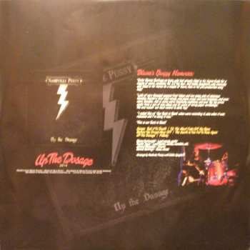 2CD Nashville Pussy: Ten Years Of Pussy