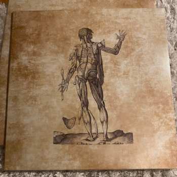5LP/Coffret Necrony: Corrupted Crescendos CLR