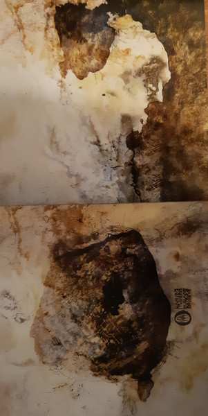 CD Negură Bunget: OM