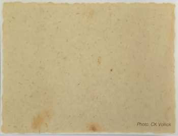 LP Neil Young: Barn LTD