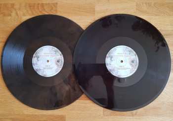 2LP Neonfly: The Future, Tonight CLR