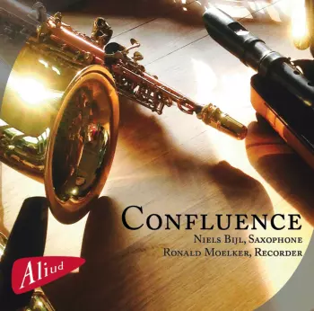 Ronald Moelker: Confluence