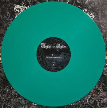 LP Night In Gales: Dawnlight Garden CLR | LTD