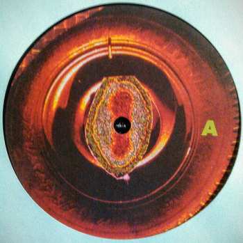 LP Night Terrors: Cobras