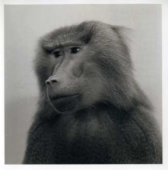 CD Nils Petter Molvær: Baboon Moon