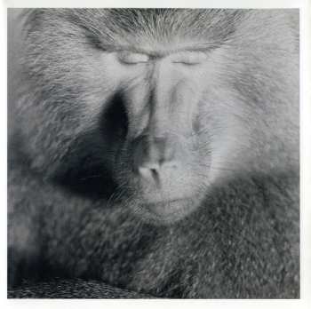 CD Nils Petter Molvær: Baboon Moon