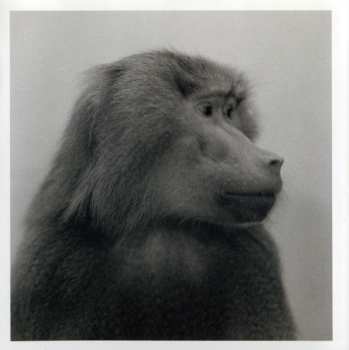 CD Nils Petter Molvær: Baboon Moon