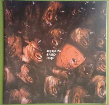 LP Nine Days' Wonder: Nine Days Wonder