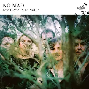 No Mad: Des Oiseaux La Nuit