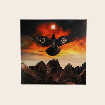 LP No Mute: Feather For A Stone CLR | LTD | NUM