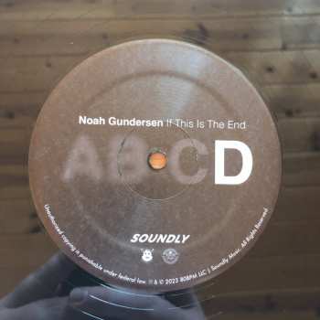 2LP Noah Gundersen: If This Is The End CLR | LTD