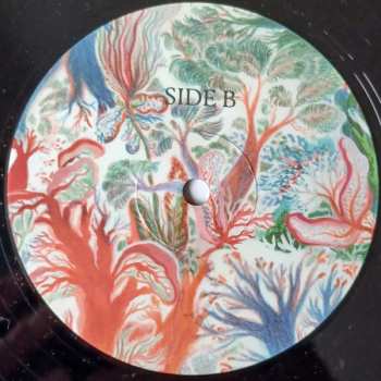 LP Noah Vanden Abeele: Magnolia