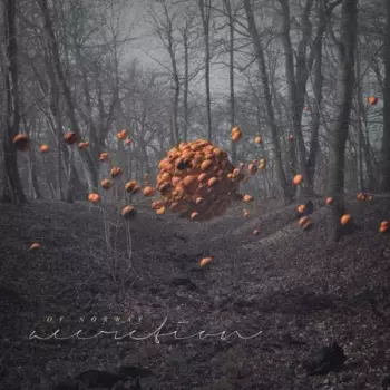 Of Norway: Accretion