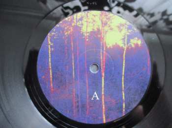 LP Ongelma: Todellisuus Iskee LTD