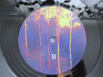 LP Ongelma: Todellisuus Iskee LTD