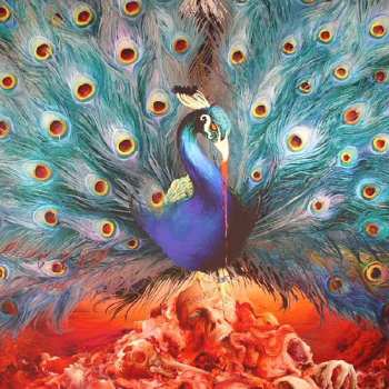 2LP/2CD/DVD/Coffret Opeth: Sorceress LTD | DIGI
