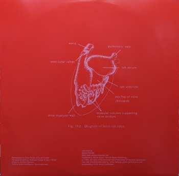 2LP Orbital: Orbital CLR