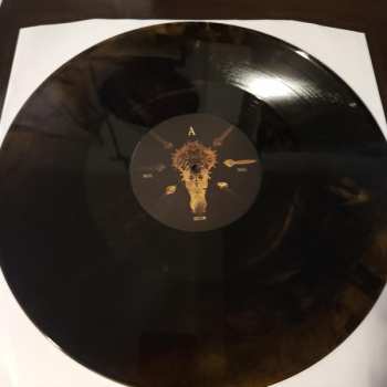 LP Organectomy: Nail Below Nail CLR