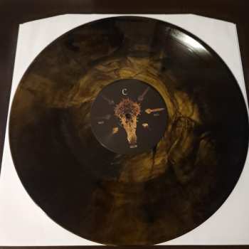 LP Organectomy: Nail Below Nail CLR