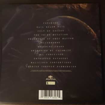 LP Organectomy: Nail Below Nail CLR