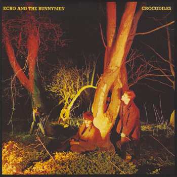5CD/Coffret Echo & The Bunnymen: Original Album Series