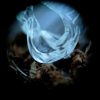 Album Ossicles: Mantelpiece