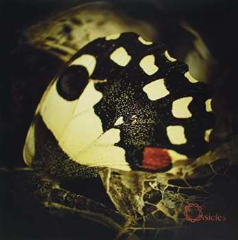 Album Ossicles: Music For Wastelands
