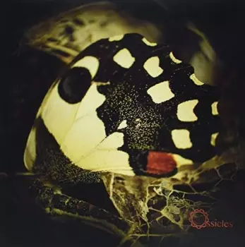 Music For Wastelands