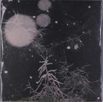 Album Over The Voids...: Over The Voids