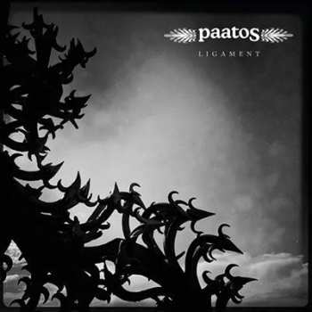 LP Paatos: Ligament