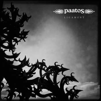 CD Paatos: Ligament