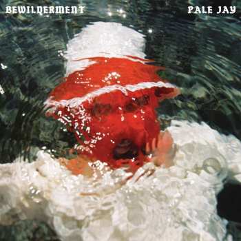 LP Pale Jay: Bewilderment