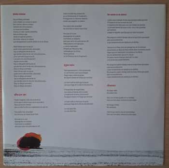 LP Palida Tez: Un Extraño Estado de Ánimo