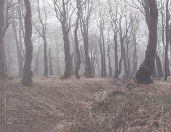 CD DJ Wich: Panorama