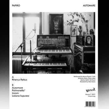 LP Papiro: Automare LTD