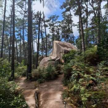 Album Parajekt: Parajekt