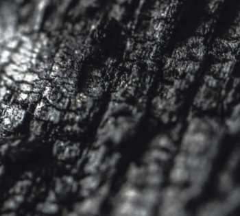 Album Parallel Worlds: Plector