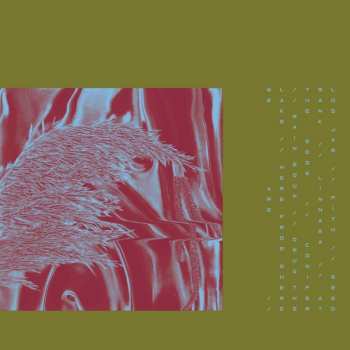 LP Pariah: Here From Where We Are