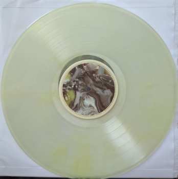 LP Parker Millsap: Wilderness Within You