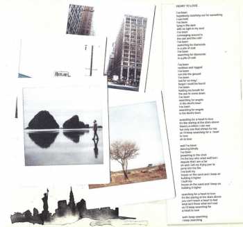 2CD Passenger: Runaway DLX | LTD