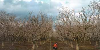 LP Patience: Dizzy Spells