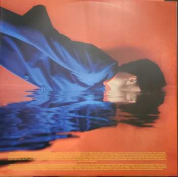 LP Patrice Michaud: Grand Voyage Désorganisé