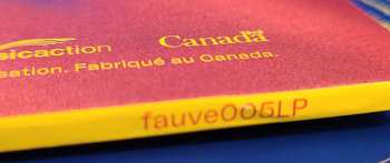 LP Patrice Michaud: Grand Voyage Désorganisé