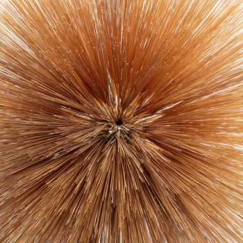 Album Patricia Brennan: Of The Near And Far