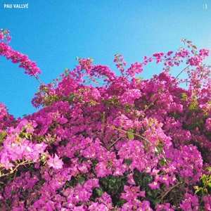 CD Pau Vallvé: : )